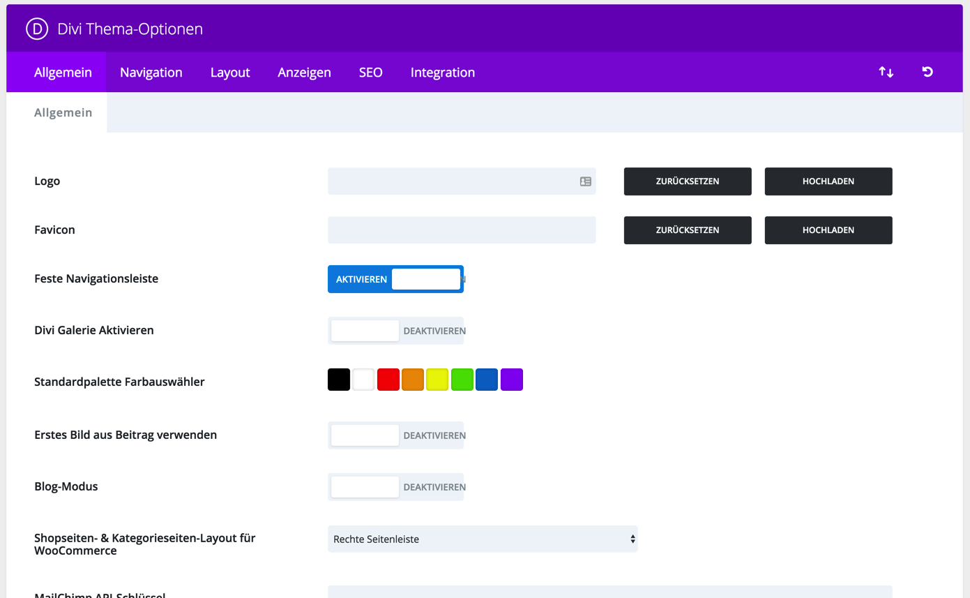 Divi Theme Einstellungen