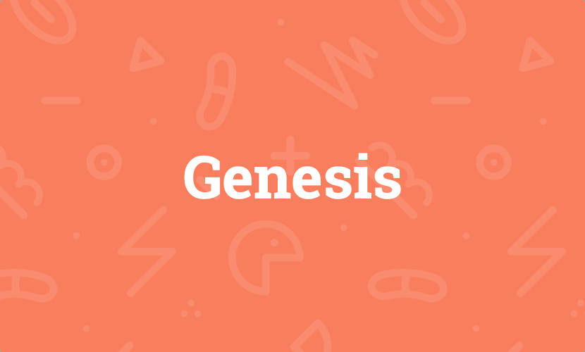 Genesis – Meine Erfahrungen mit dem WordPress-Framework